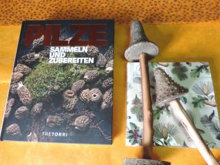 Pilze_Holzpilze