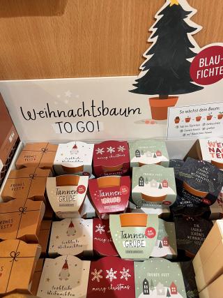 Weihnachten15