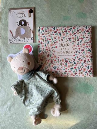 Schmusetuch in Form eines Bären, Billett mit dem Aufdruck Willkommen auf dieser Welt, Erinnerungsalbum mit dem Titel Hello little wonder.