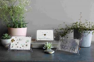 Drahtrahmen in unterschiedlichen Designs.